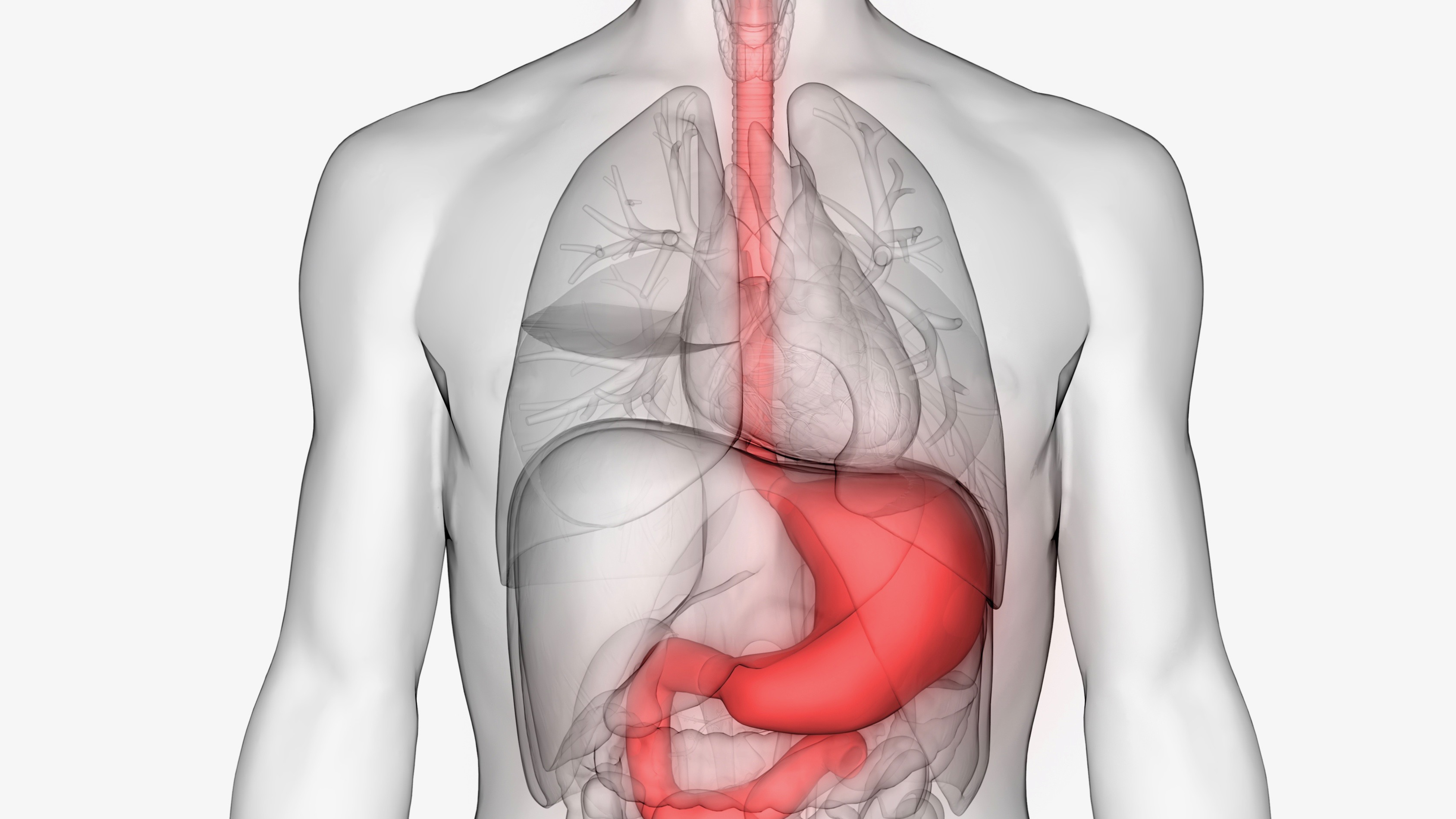 Helpt osteopathie bij een scheurtje in het middenrif?