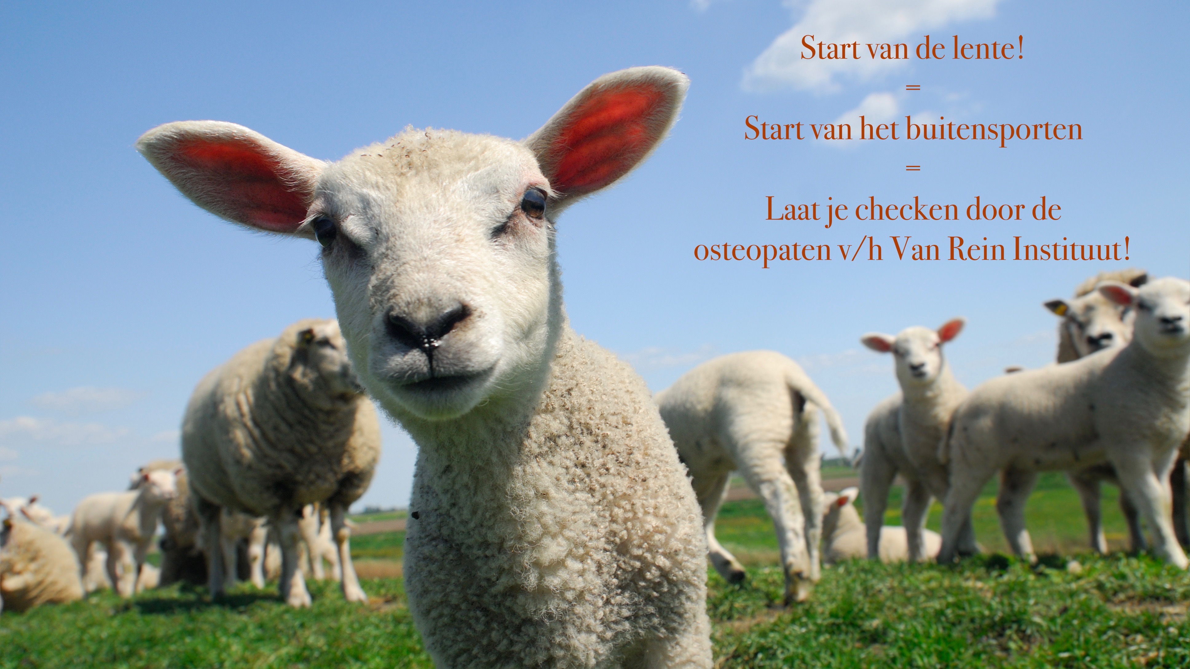 21 maart: start van de lente!