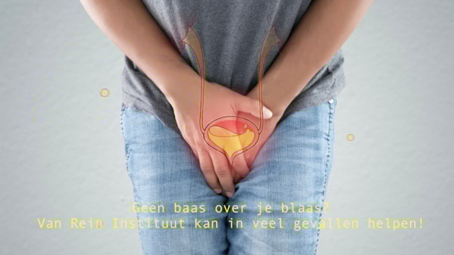 Baas over blaas Van Rein Instituut