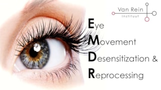 Van Rein Instituut - EMDR 