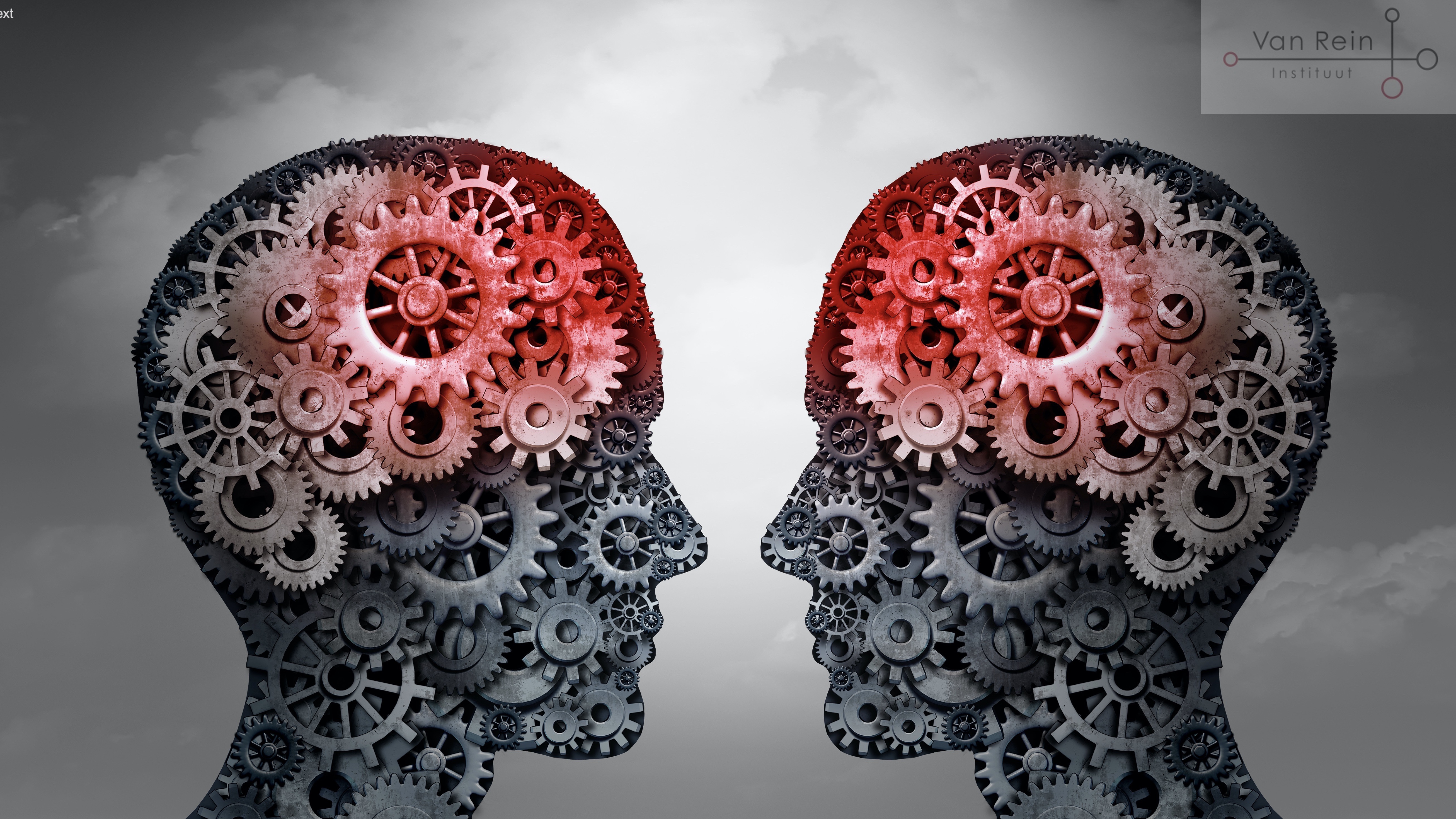 Van Rein Instituut - geopend voor hypnotherapie en psychologie