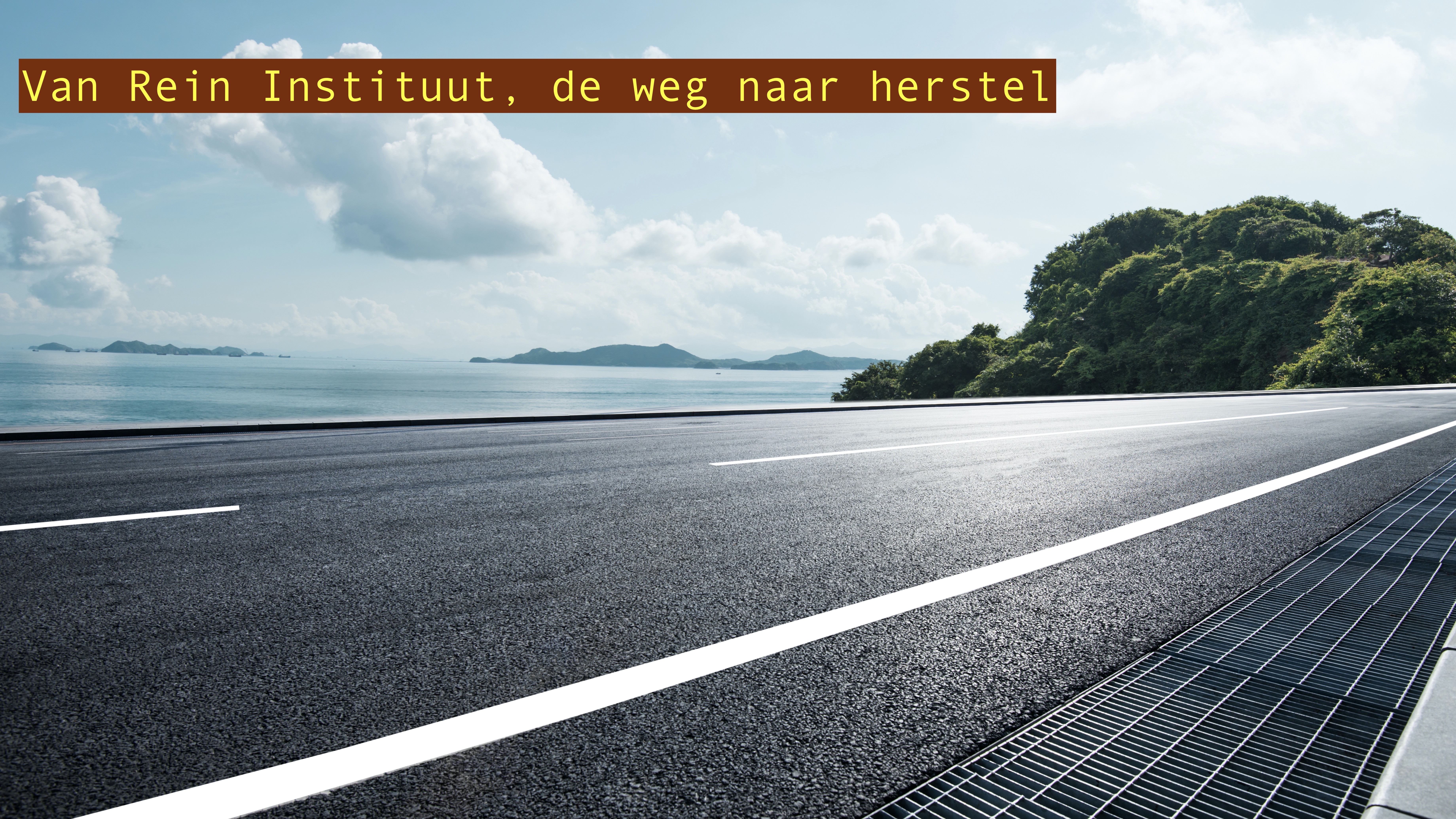 Van Rein Instituut, de weg naar herstel
