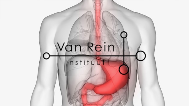 Maagklachten logo groot zwart